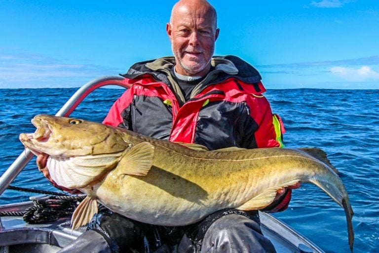 Hosted Sea Fishing North Norway