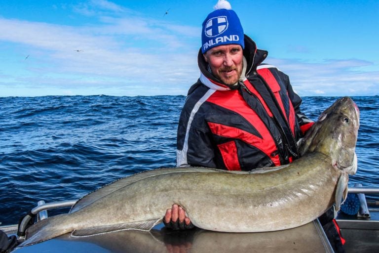 Hosted Sea Fishing North Norway