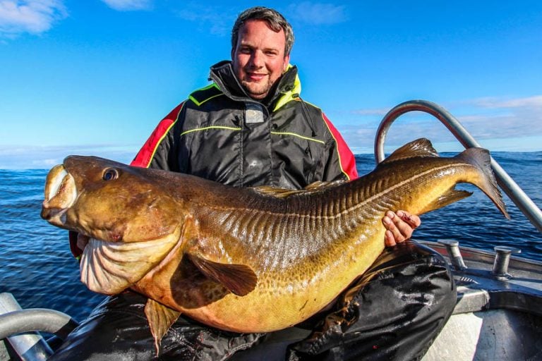 Hosted Sea Fishing North Norway