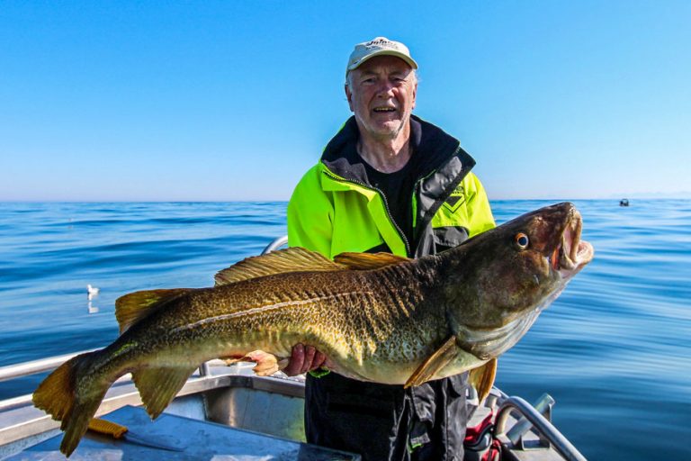 Hosted Sea Fishing North Norway