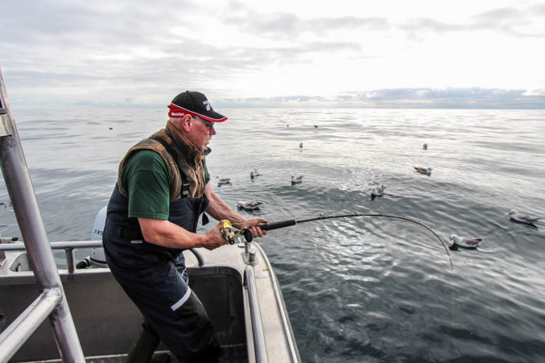 Sea Fishing Vesterålen