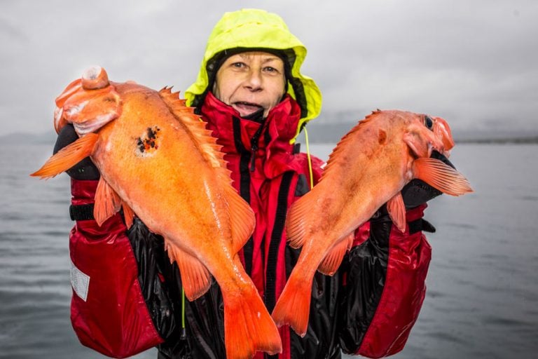 Sea Fishing Vesterålen