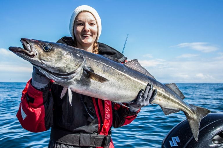 Sea Fishing Vesterålen