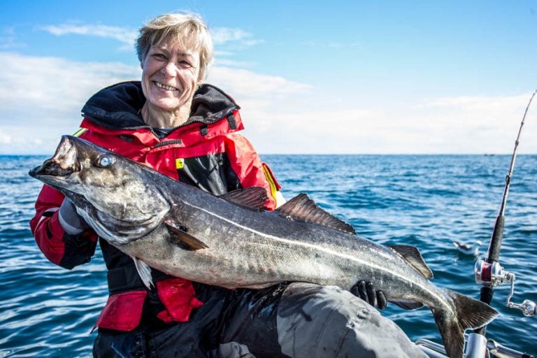 Sea Fishing Vesterålen