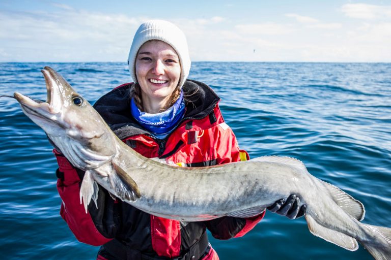 Hosted Sea Fishing North Norway