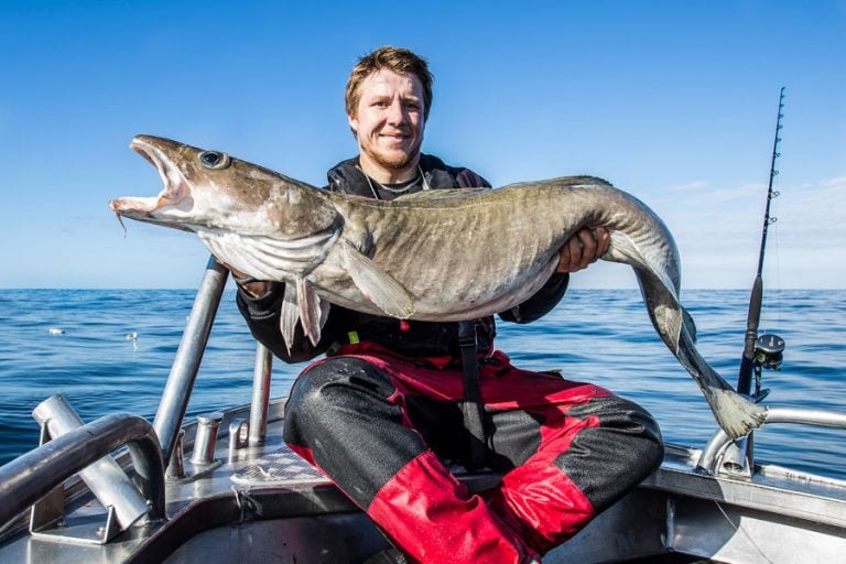 Hosted Sea Fishing North Norway