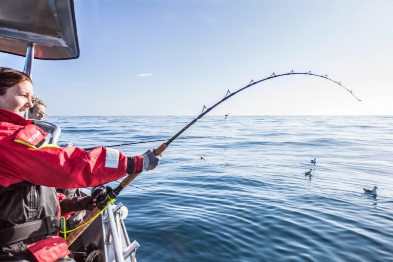 Hosted Sea Fishing North Norway