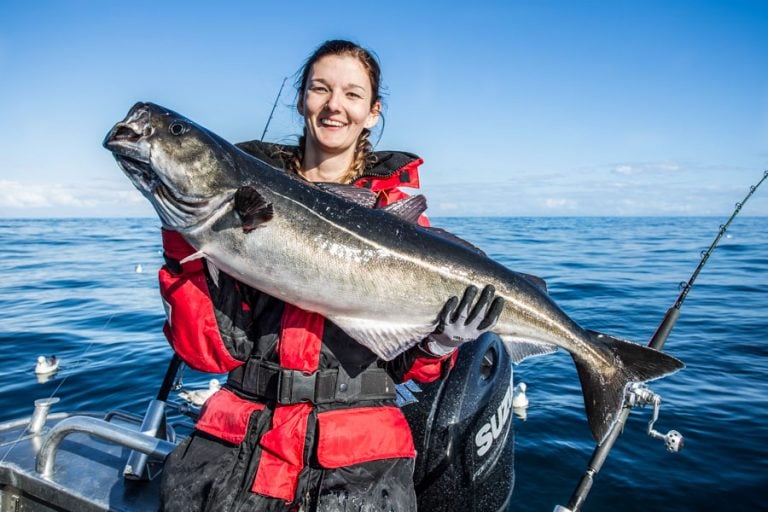 Hosted Sea Fishing North Norway