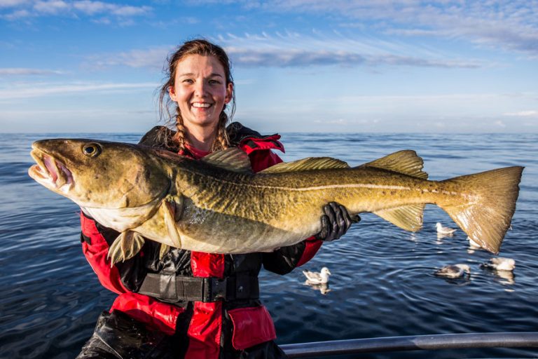 Hosted Sea Fishing North Norway