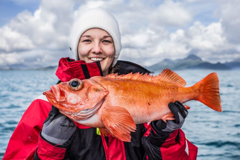 Hosted Sea Fishing North Norway