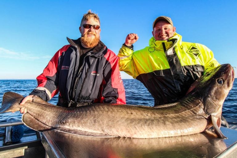 Hosted Sea Fishing North Norway