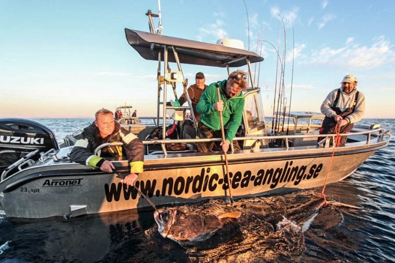 Hosted Sea Fishing North Norway