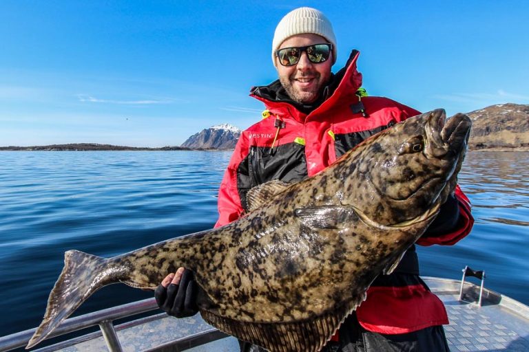 Hosted Sea Fishing North Norway