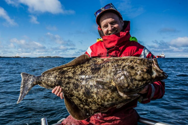 Hosted Sea Fishing North Norway