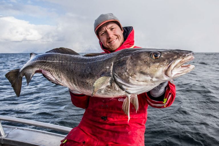 Hosted Sea Fishing North Norway