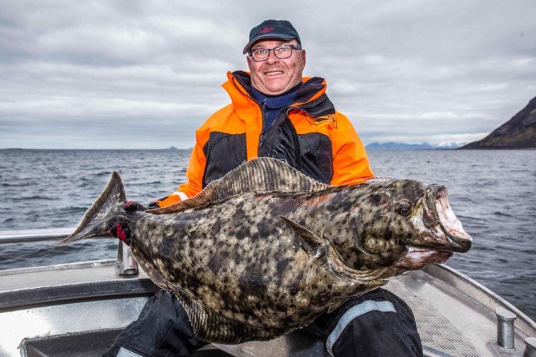 Hosted Sea Fishing North Norway