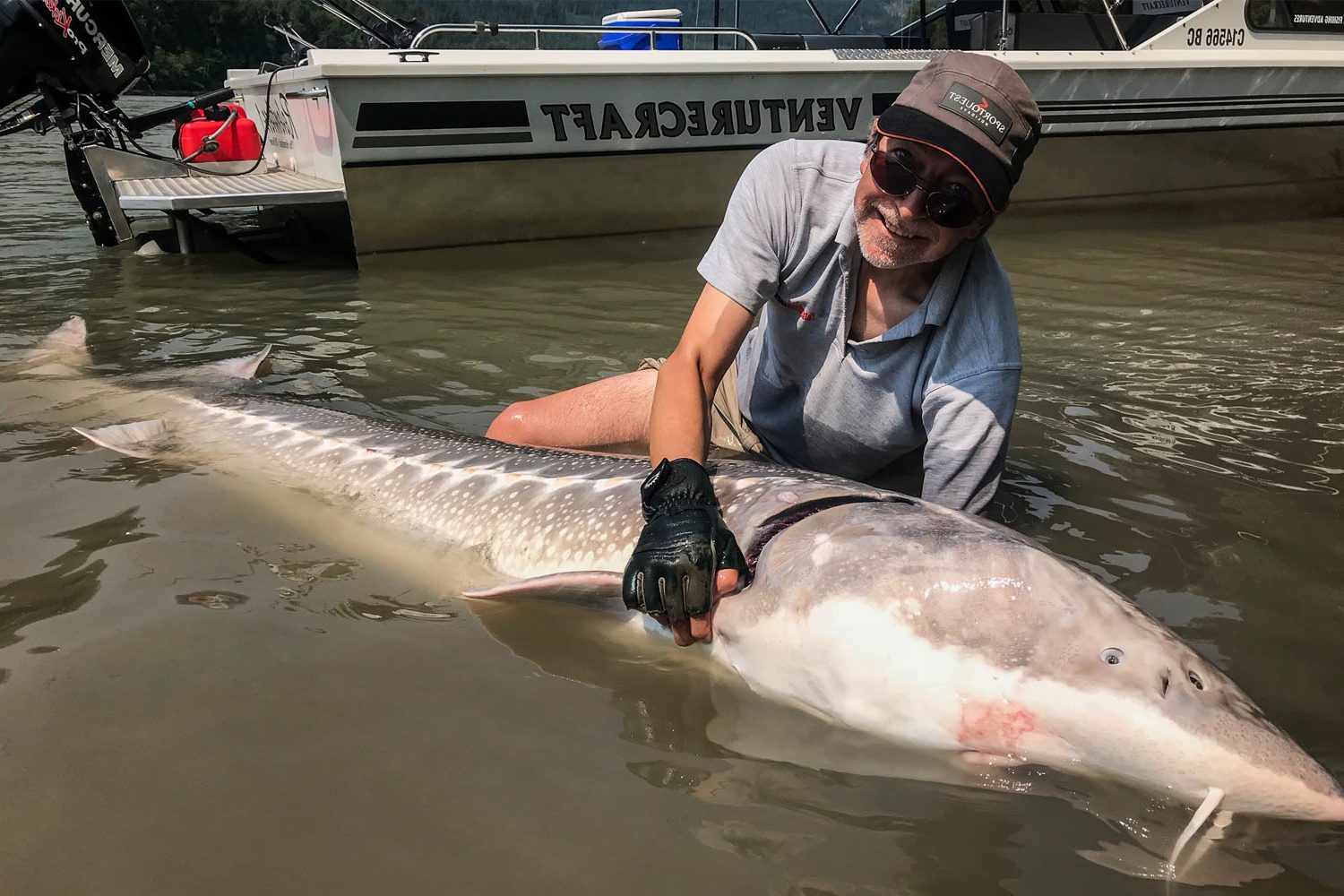 Fraser River Canada Sturgeon Fishing Article