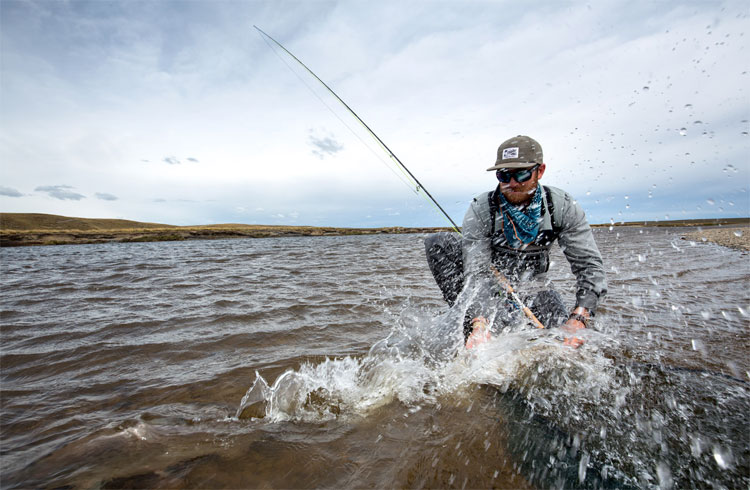 Sea Trout fishing Argentina