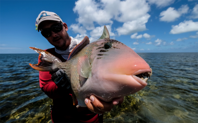 Fishing Report Providence Seychelles