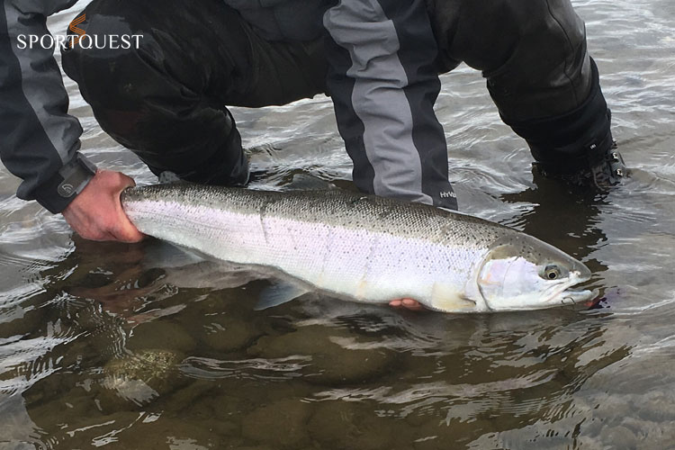 Kalum River Pre Season Report