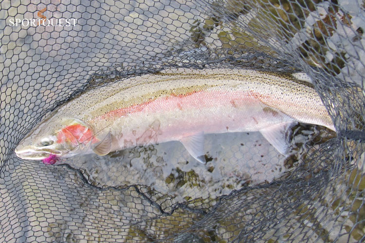 Kalum River Pre Season Report