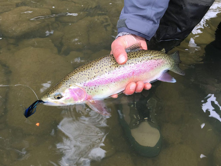 Kalum River Lodge Fishing Report