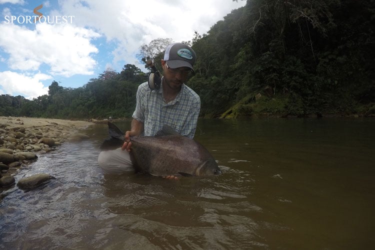 Tsimane Golden Dorado Fishing Reports