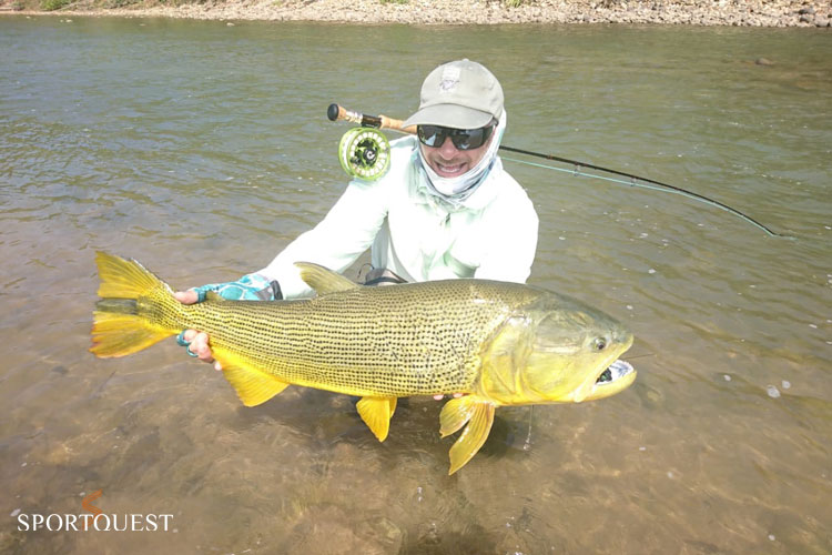Tsimane Golden Dorado Fishing Reports