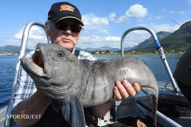 North Norway fishing is the best