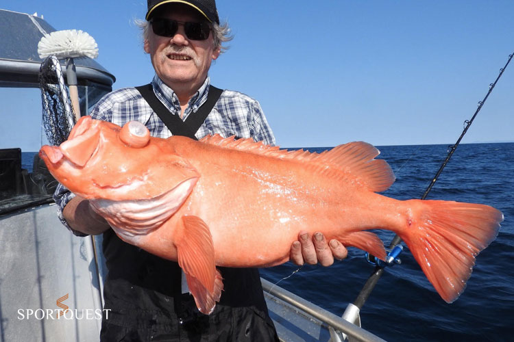 North Norway fishing is the best