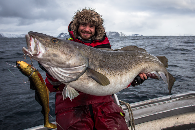 Recommended Shads For Fishing In Norway