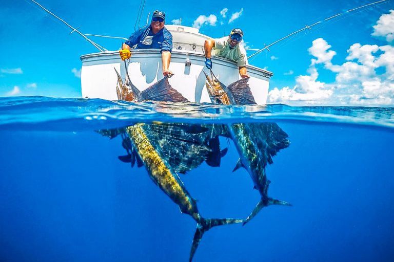 Fly Fishing Seychelles