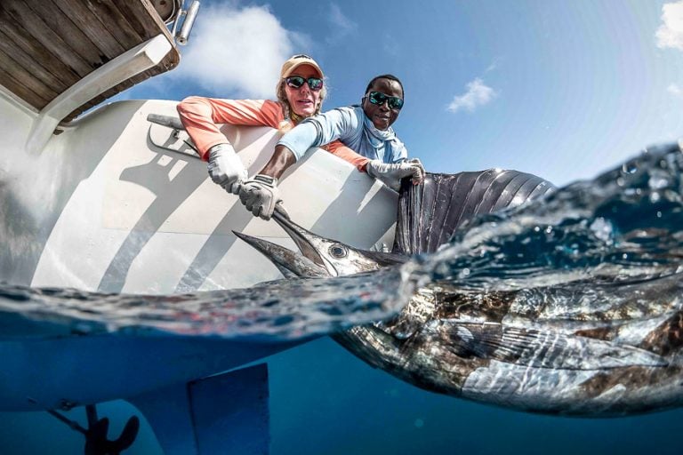 Alphonse Island Fly Fishing