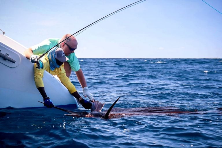 Alphonse Island Fly Fishing