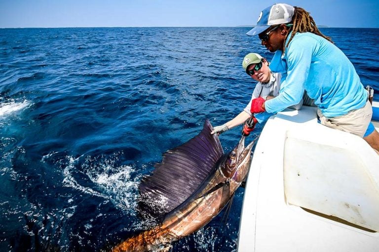 Alphonse Island Fly Fishing