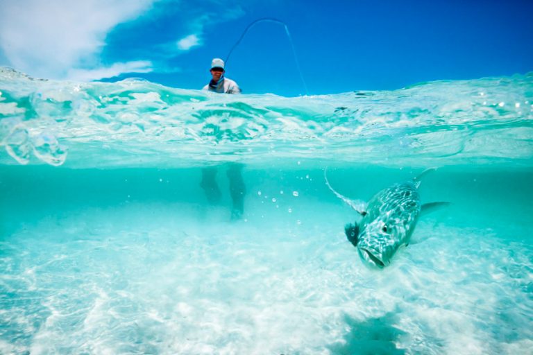 Fly Fishing Seychelles