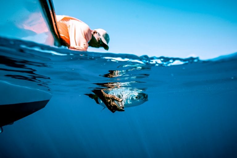 GT Fly Fishing Seychelles