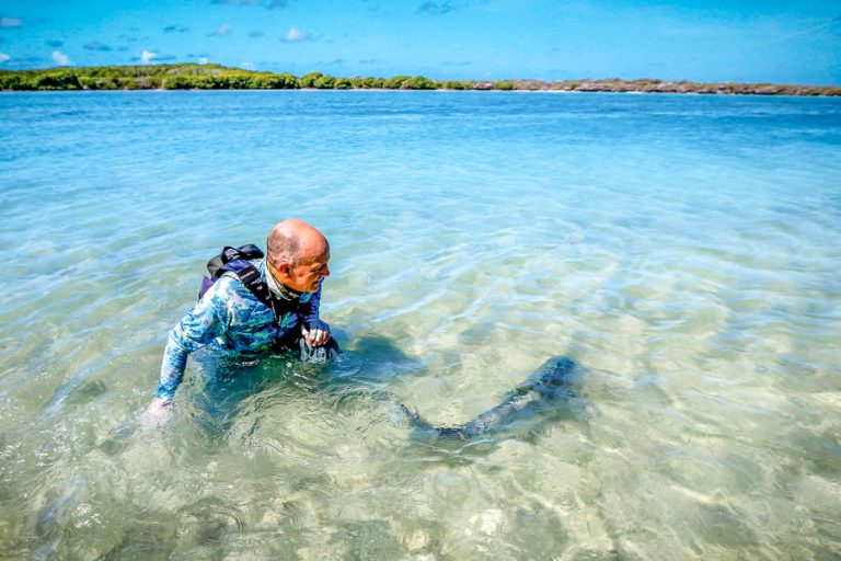 GT Fly Fishing Seychelles