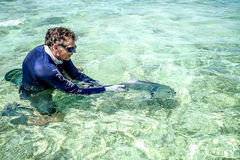 GT Fly Fishing Seychelles