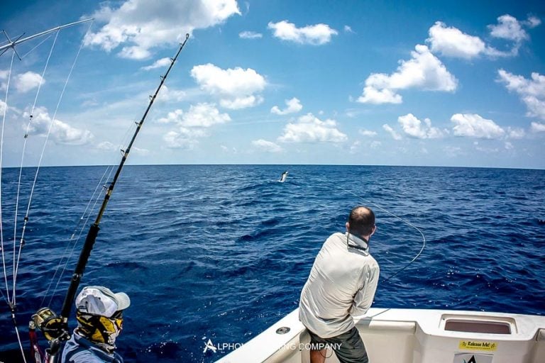 GT Fly Fishing Seychelles