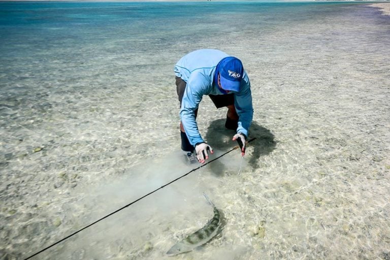 Bone Fish Fly Fishing