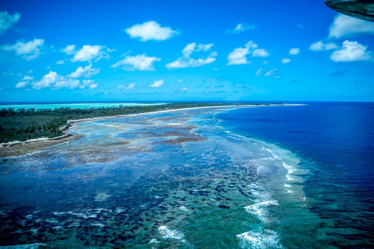 Astove Atoll Fishing