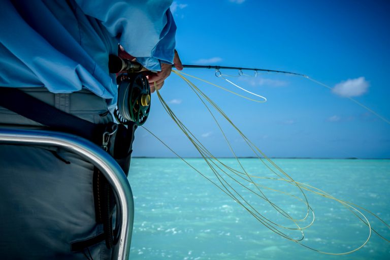 Astove Atoll Fishing