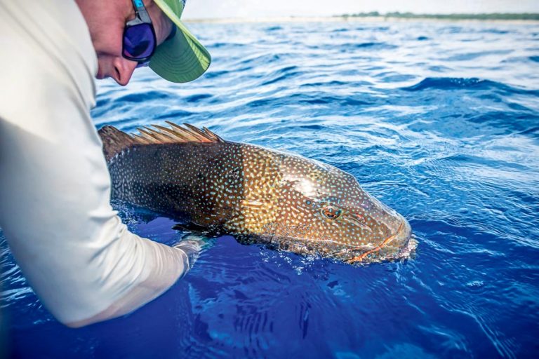 Astove Atoll Fishing