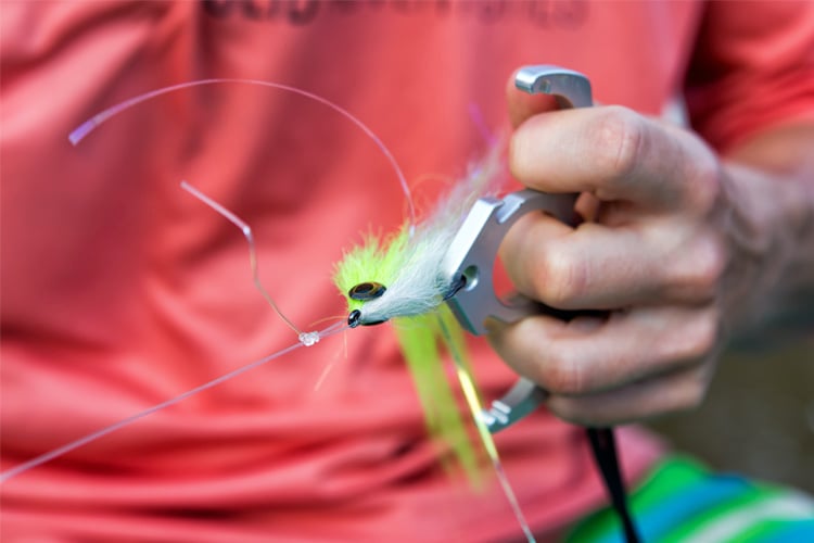 Top Hooks For Saltwater Fishing Flies