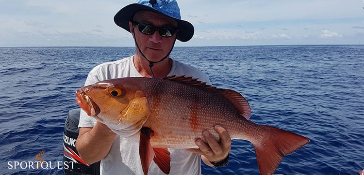 ALPHONSE ISLAND Fly Fishing