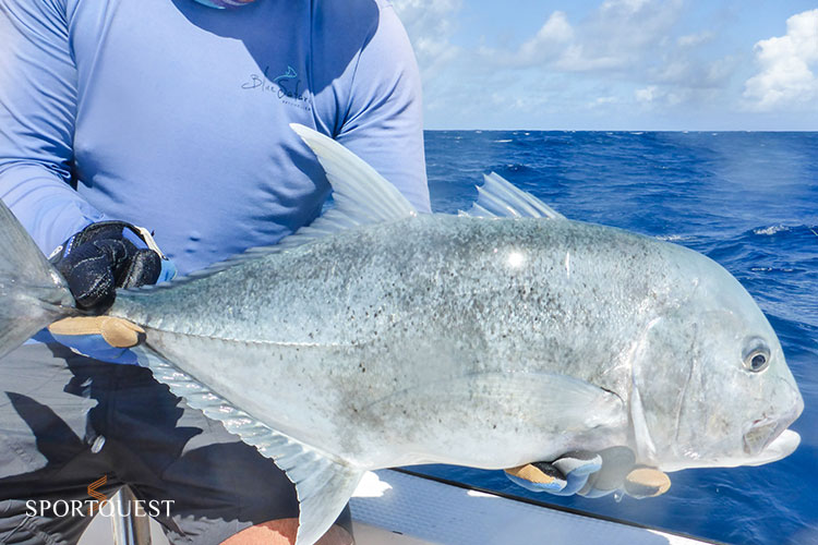 GT Fishing Seychelles