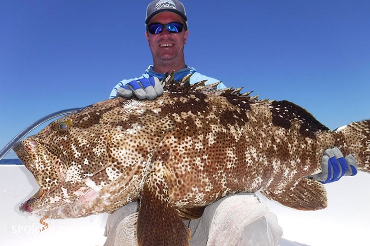 GT Fishing Seychelles