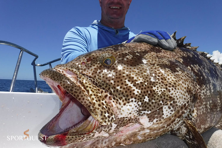 Triggerfish Fishing Seychelles