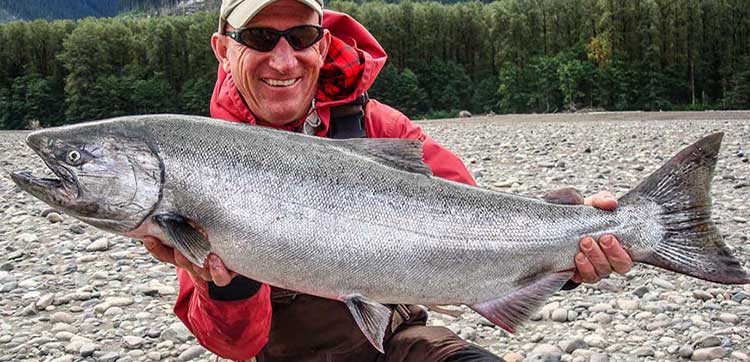 Chinook Salmon